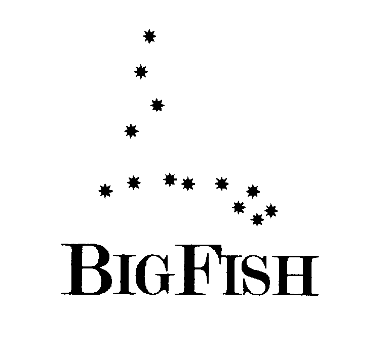 Trademark Logo BIGFISH