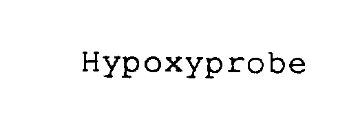  HYPOXYPROBE