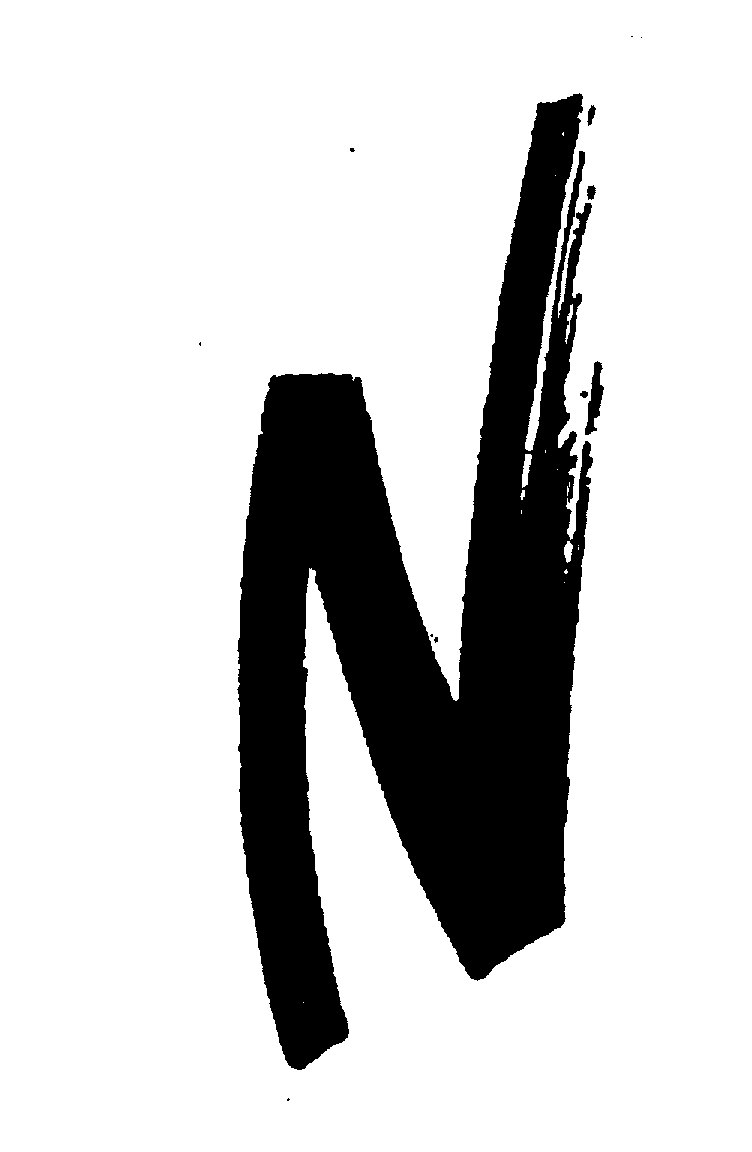  N