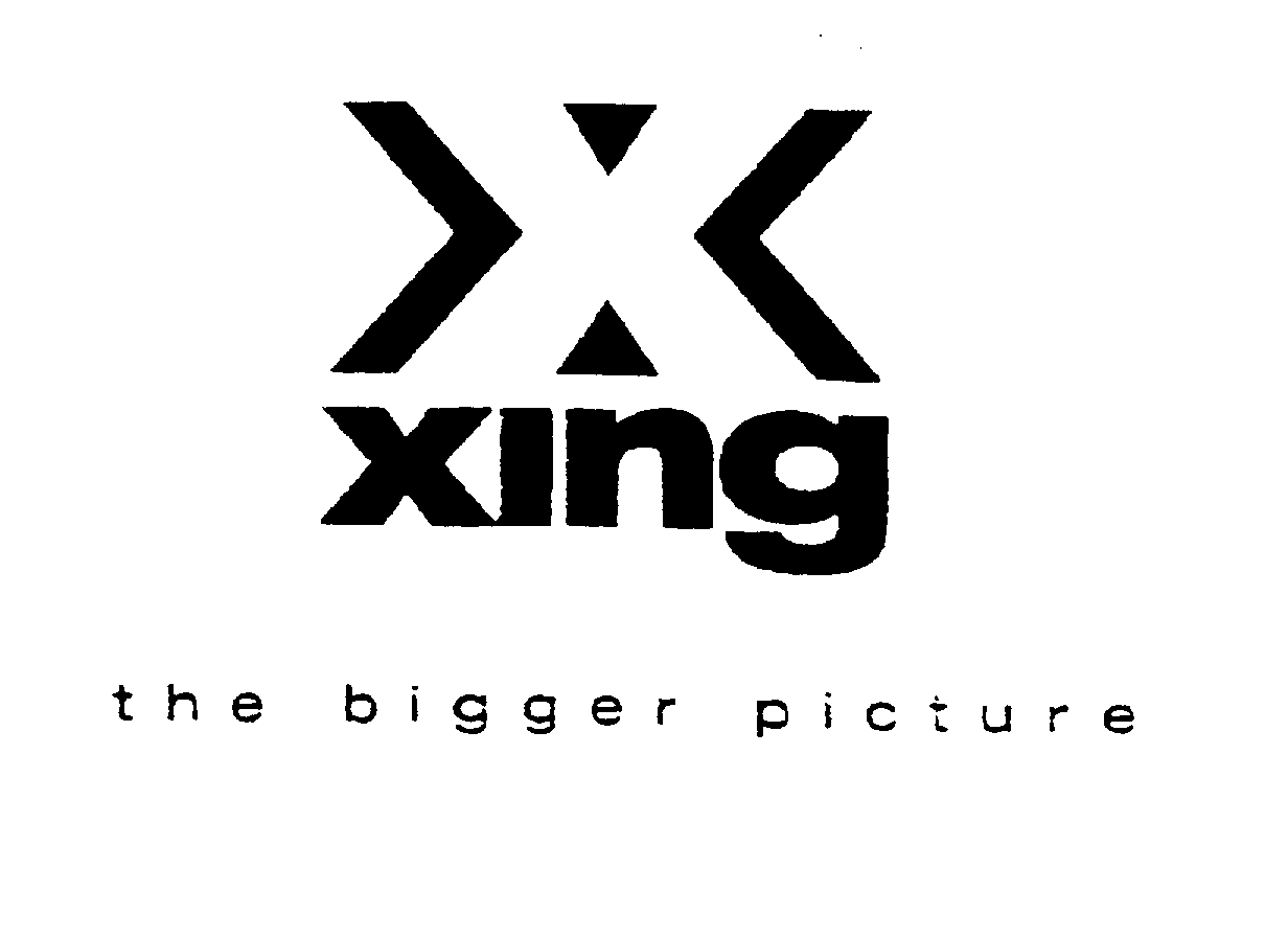  X XING THE BIGGER PICTURE