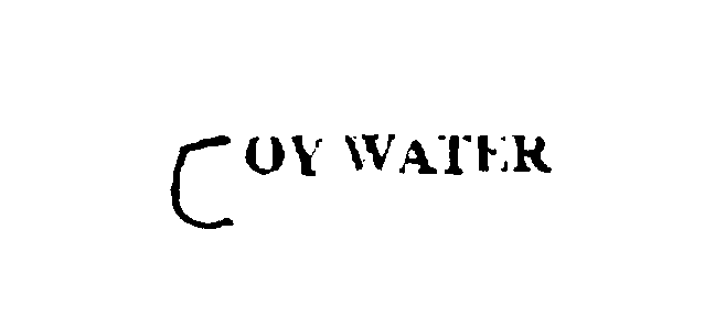  JOY WATER
