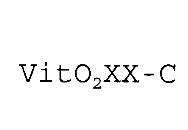 Trademark Logo VITO2XX-C