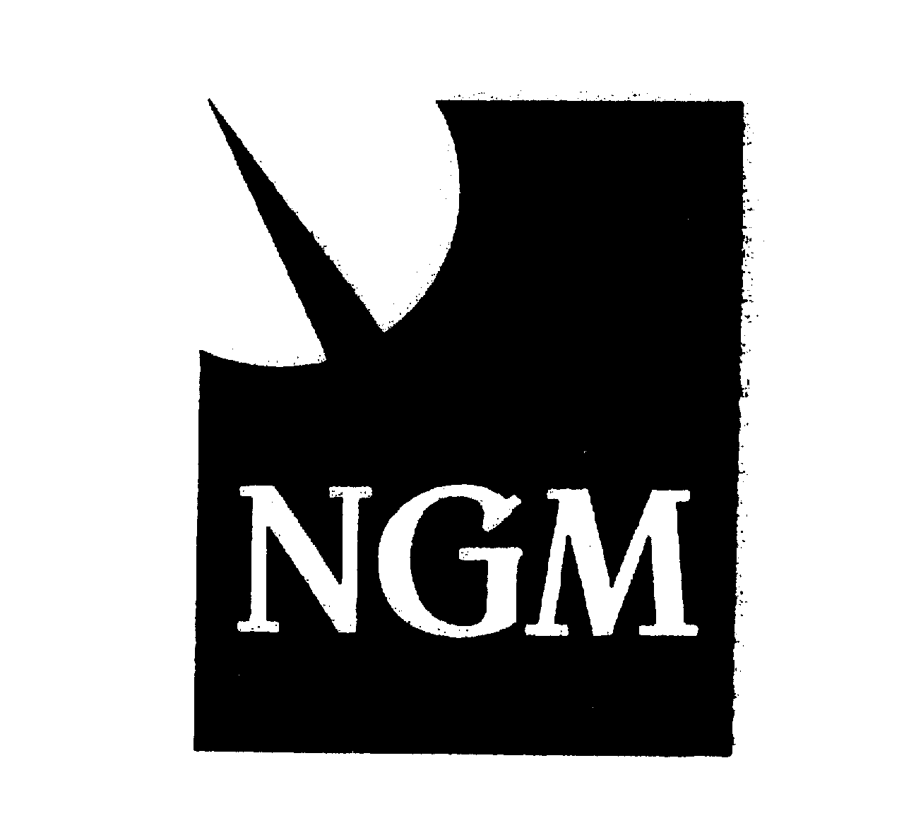 Trademark Logo NGM