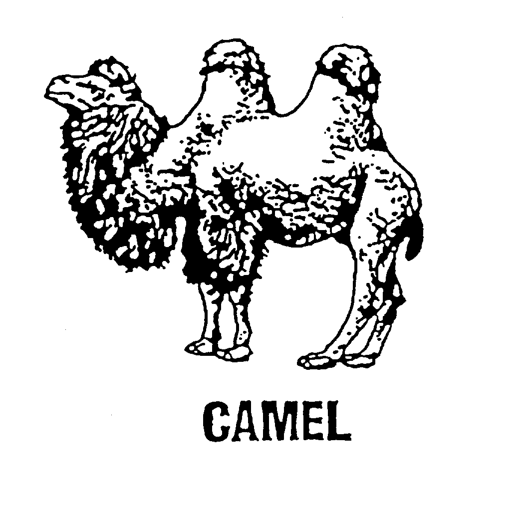 CAMEL