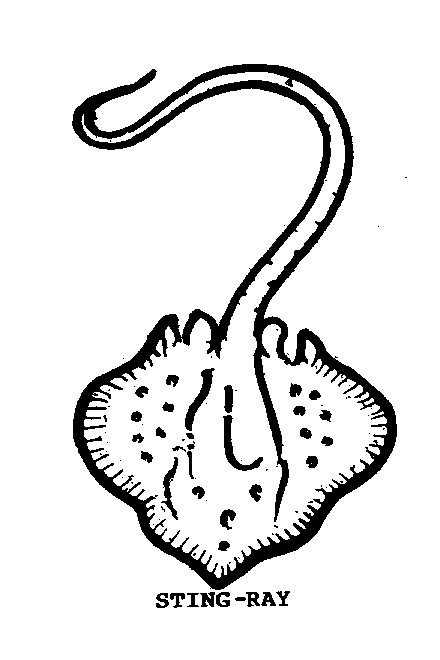 Trademark Logo STING-RAY