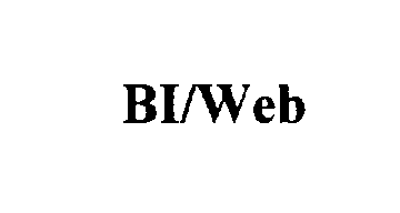  BI/WEB