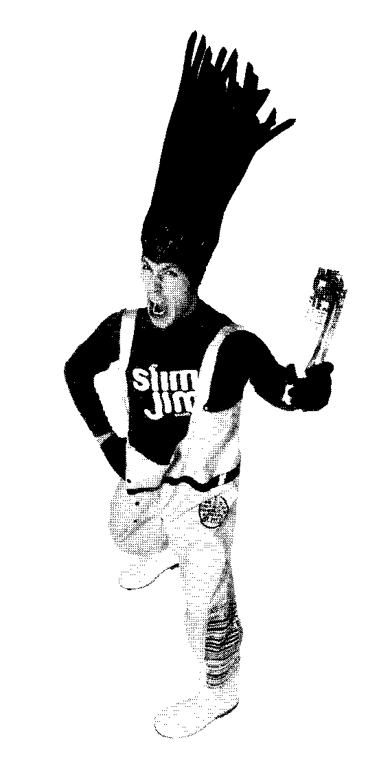 Trademark Logo SLIM JIM