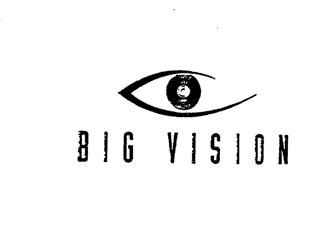 Trademark Logo BIG VISION