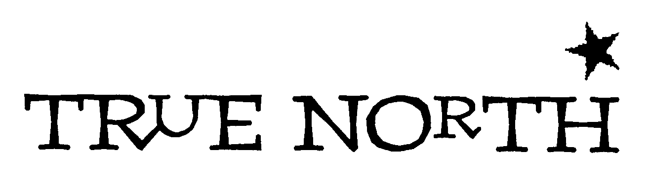 Trademark Logo TRUE NORTH