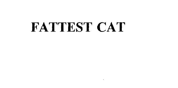  FATTEST CAT