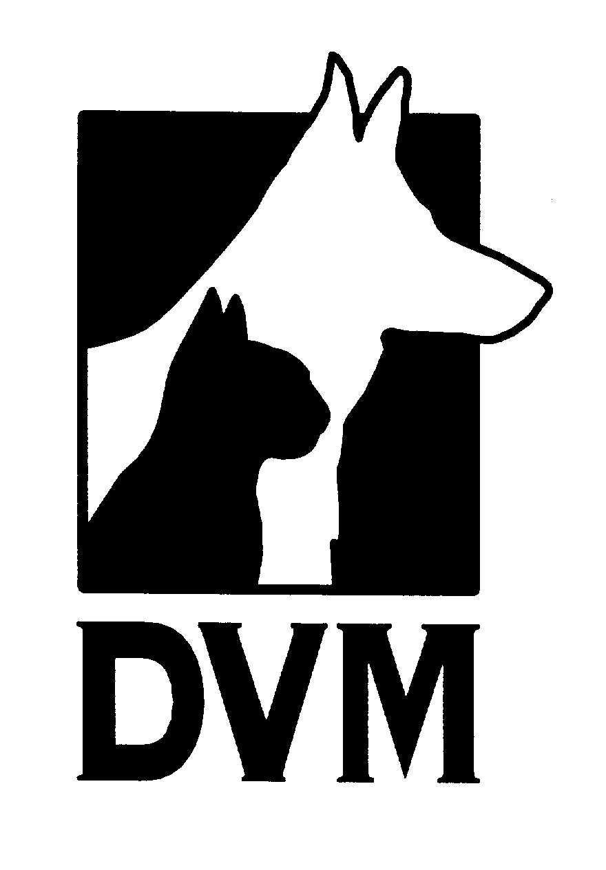 DVM