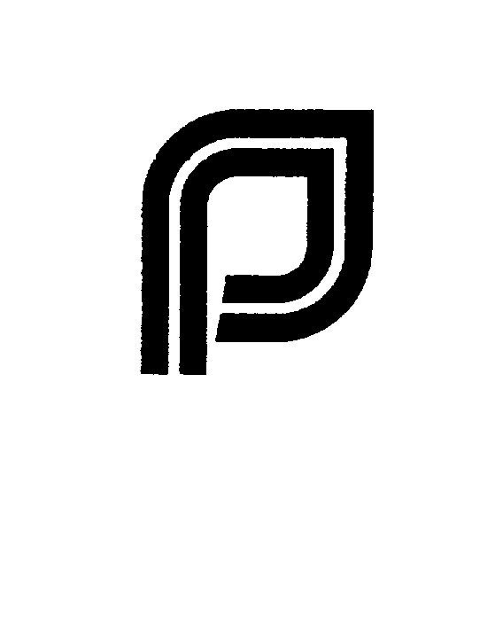  PP