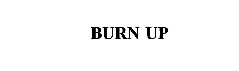  BURN UP