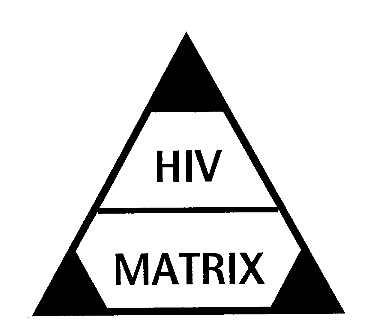  HIV MATRIX