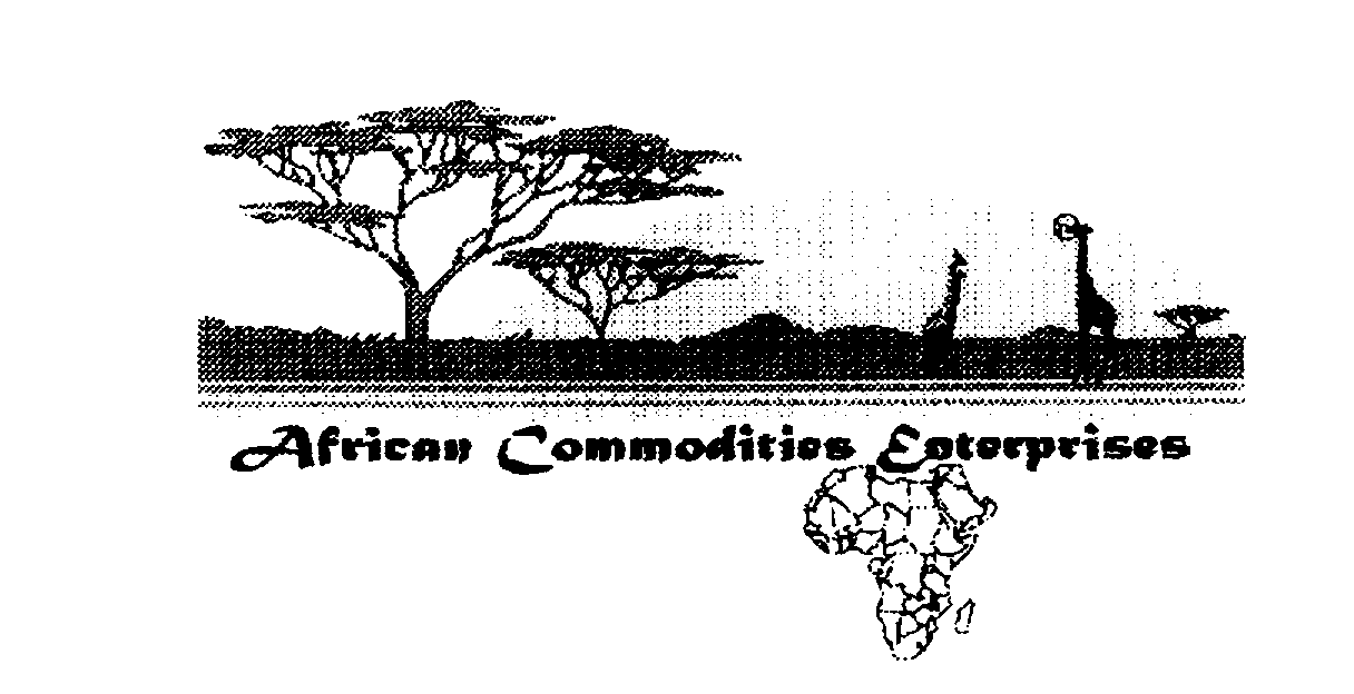  AFRICAN COMMODITIES ENTERPRISES