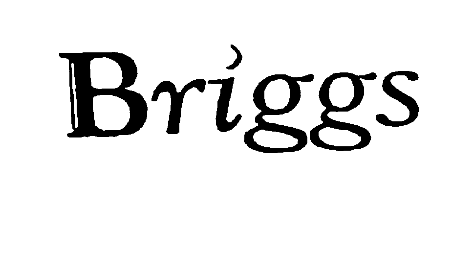  BRIGGS