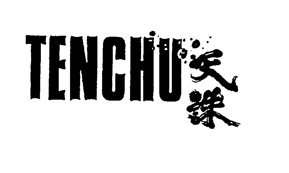  TENCHU