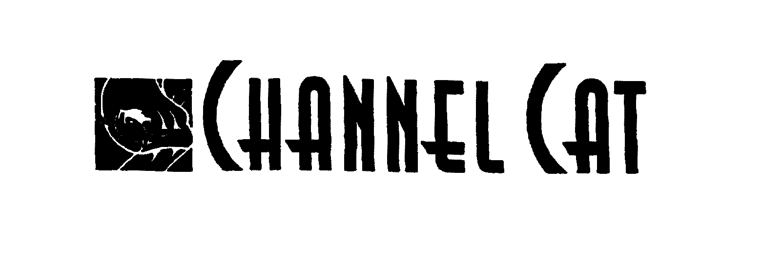  CHANNEL CAT