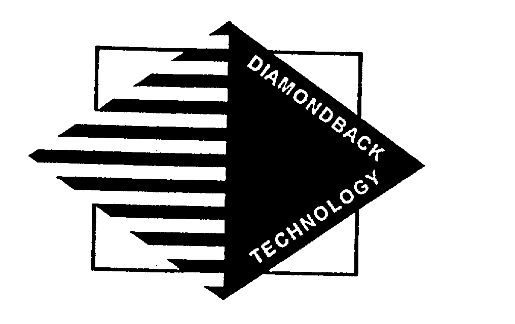  DIAMONDBACK TECHNOLOGY