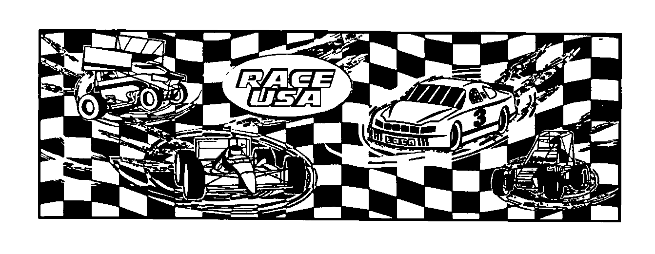 Trademark Logo RACE USA