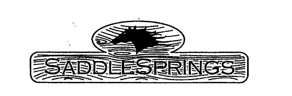 Trademark Logo SADDLESPRINGS