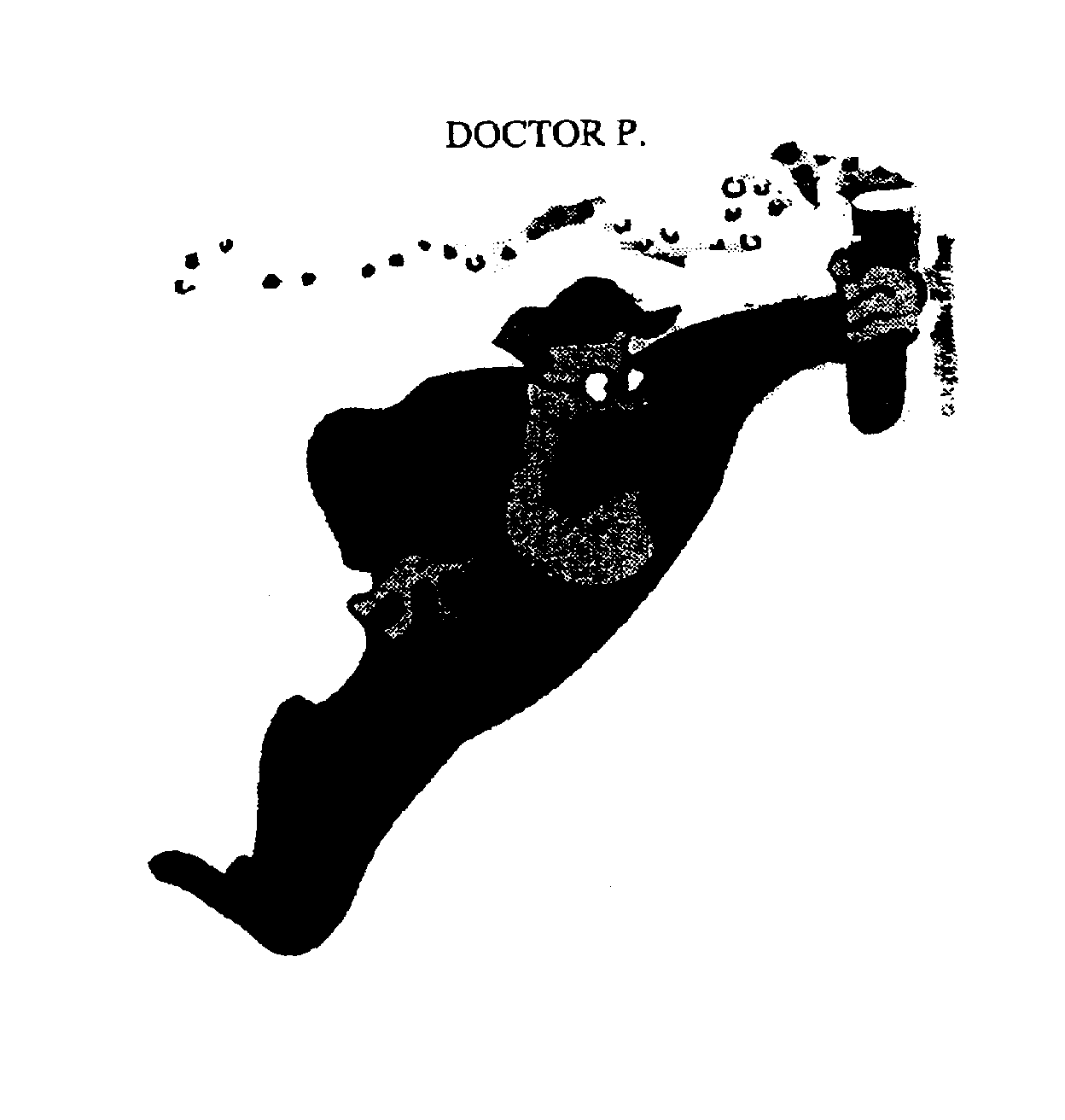  DOCTOR P