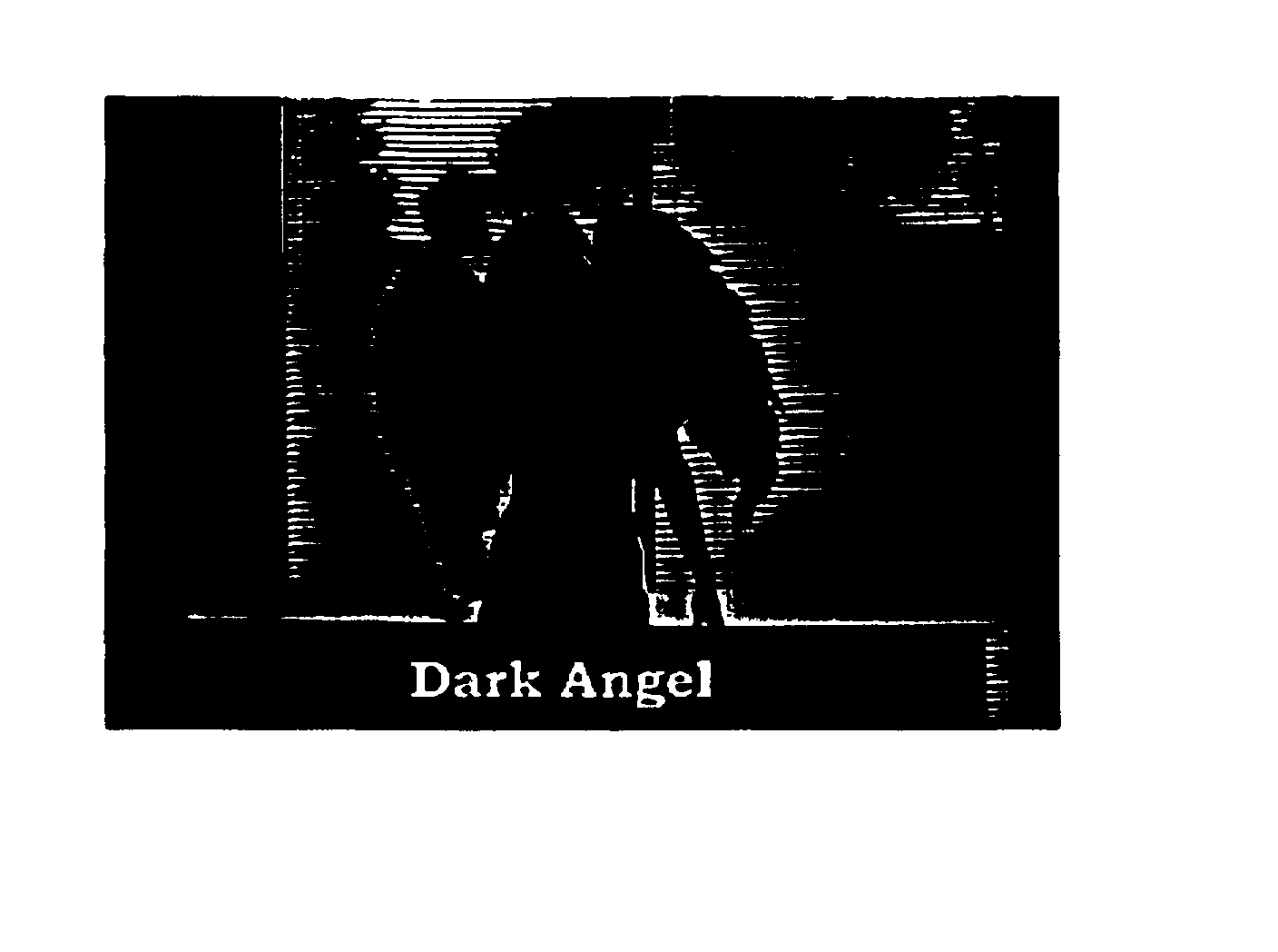 DARK ANGEL