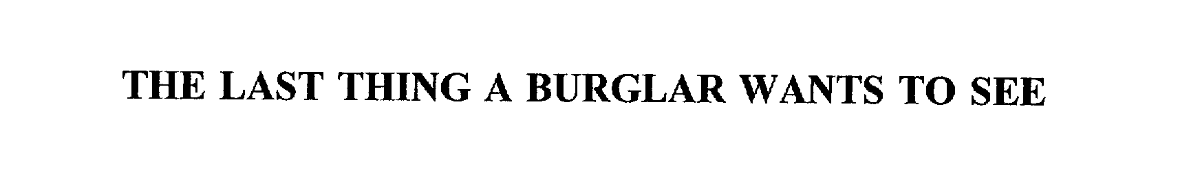  THE LAST THING A BURGLAR WANTS TO SEE