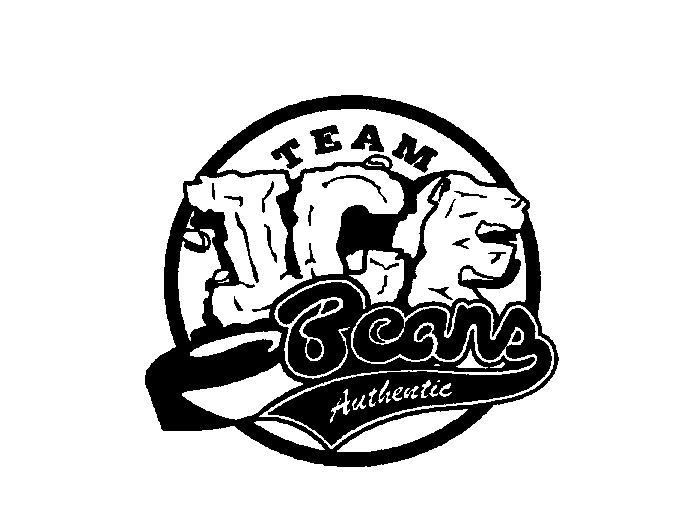 Trademark Logo TEAM ICE BEANS AUTHENTIC