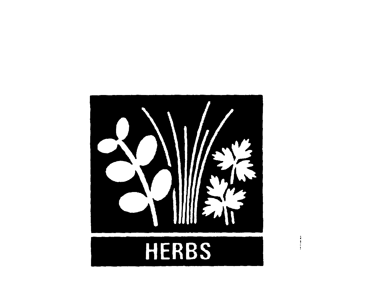 HERBS