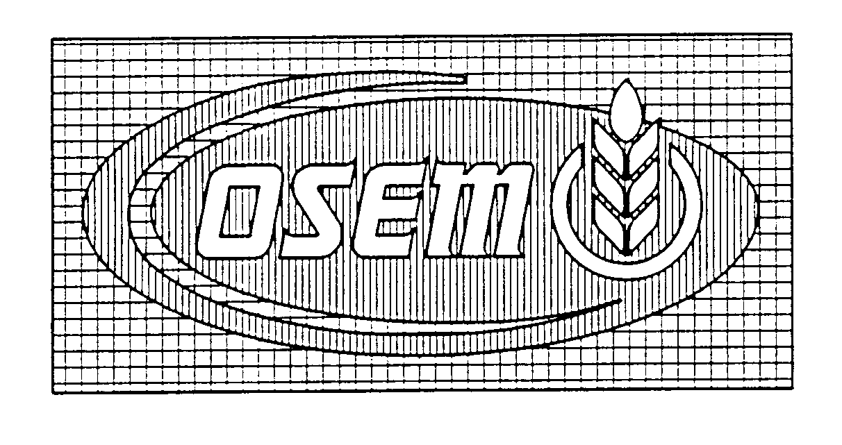  OSEM