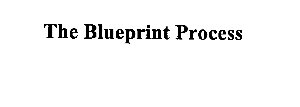  THE BLUEPRINT PROCESS