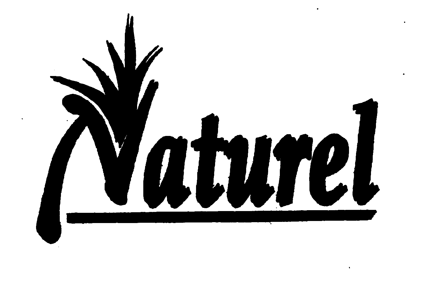 Trademark Logo NATUREL