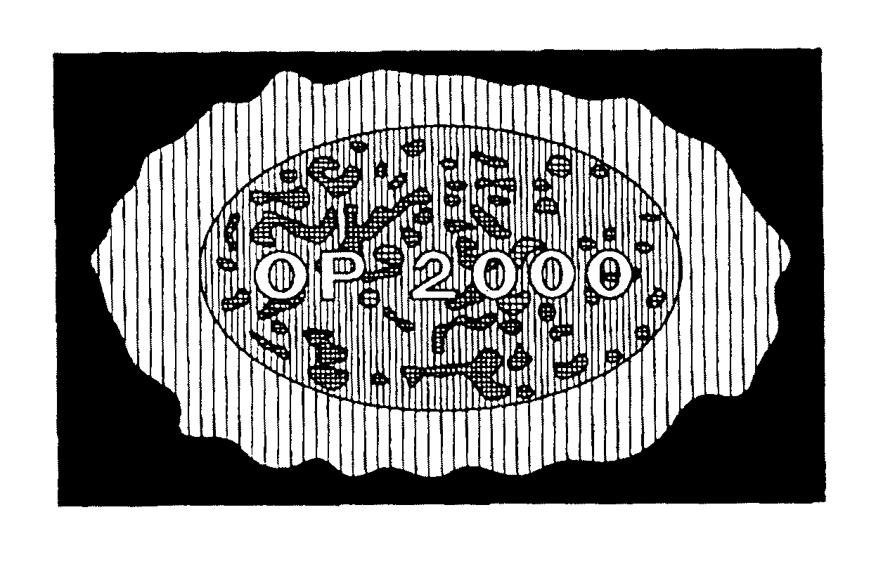 Trademark Logo OP 2000