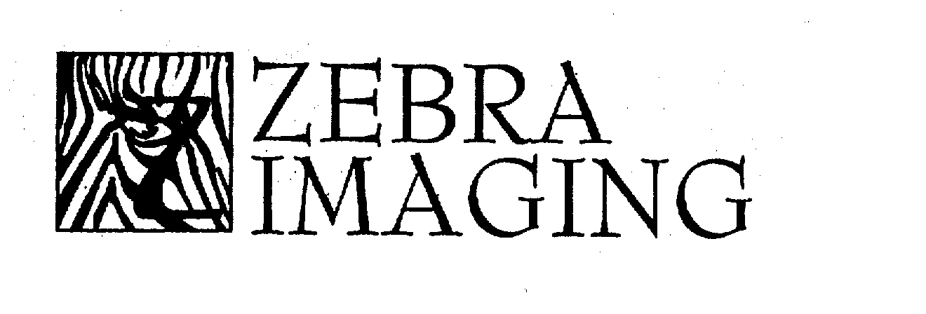  ZEBRA IMAGING