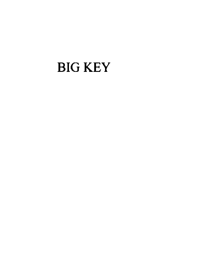 BIG KEY