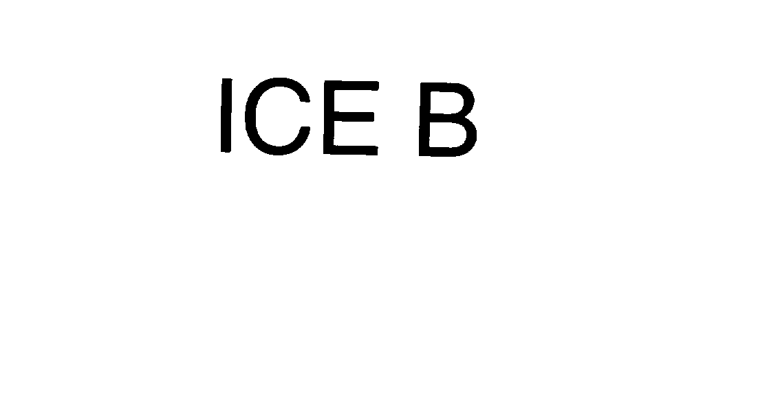 ICE B