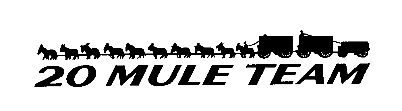 Trademark Logo 20 MULE TEAM