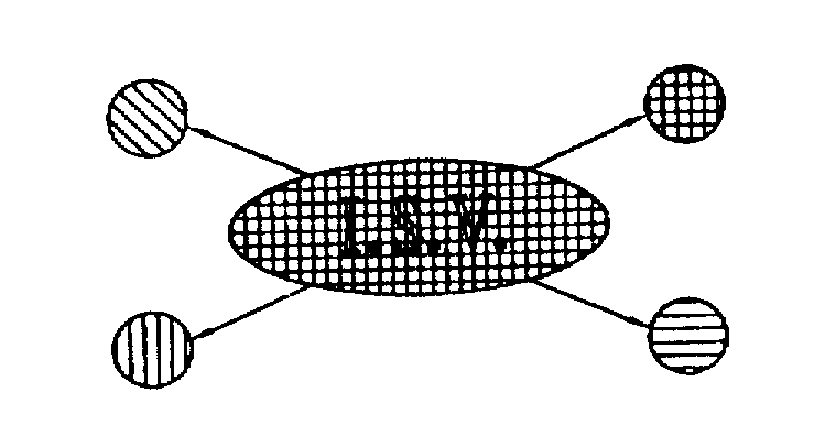 Trademark Logo I.S.V.