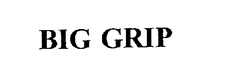 Trademark Logo BIG GRIP