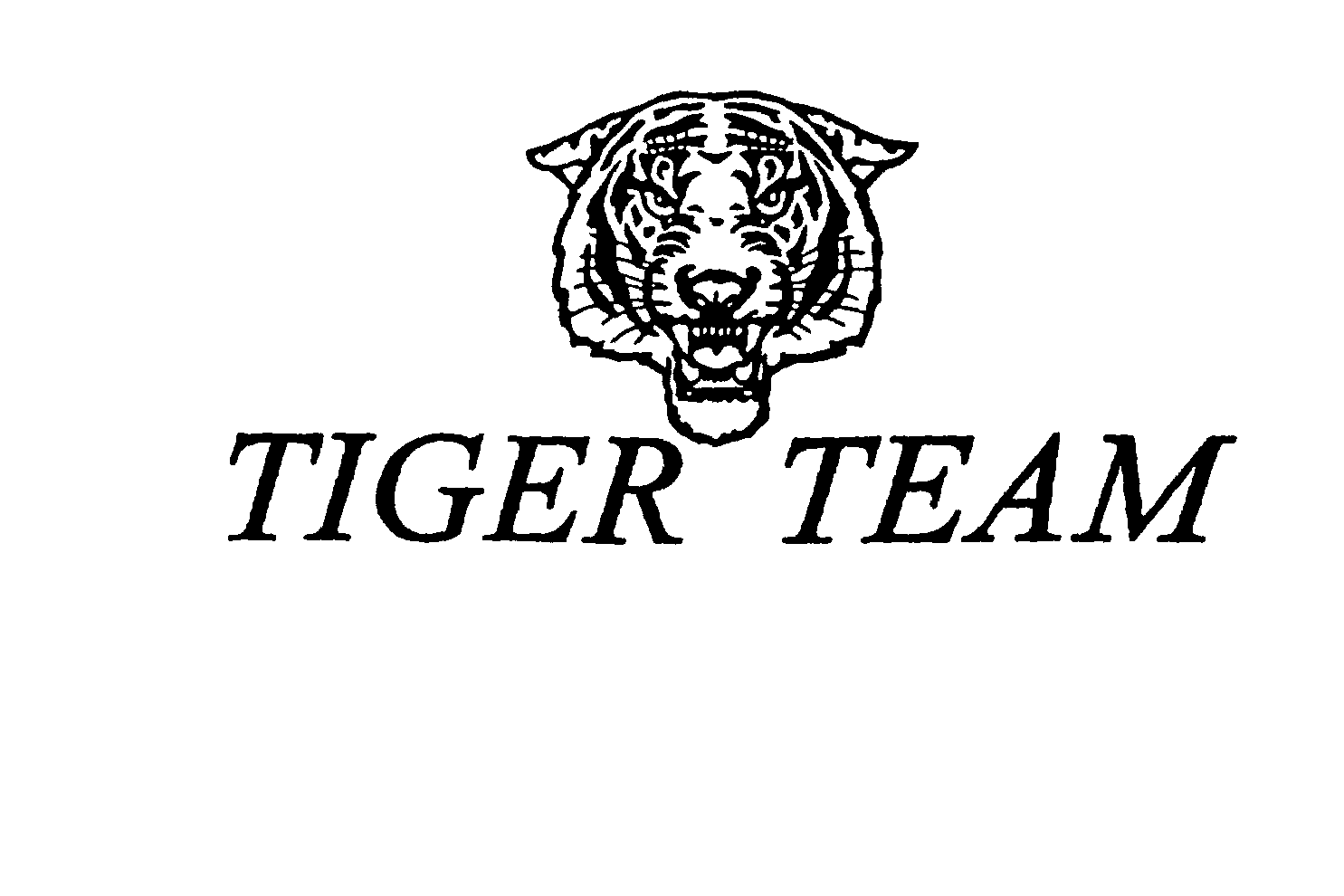  TIGER TEAM