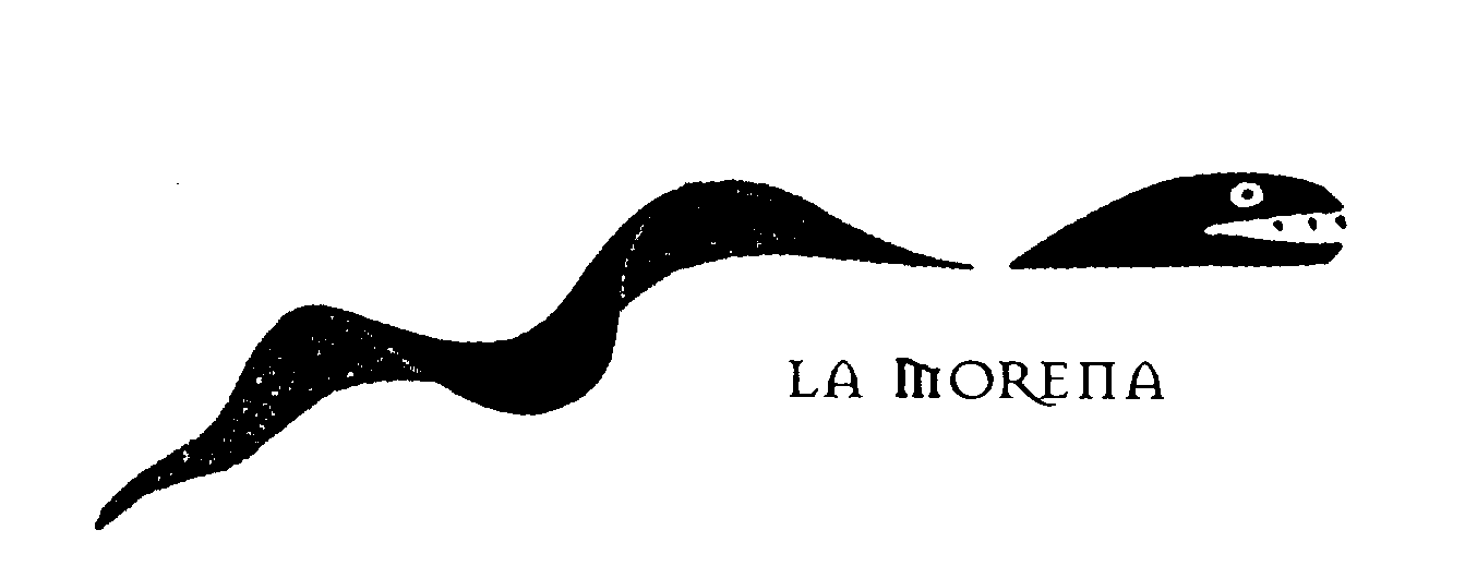 LA MORENA