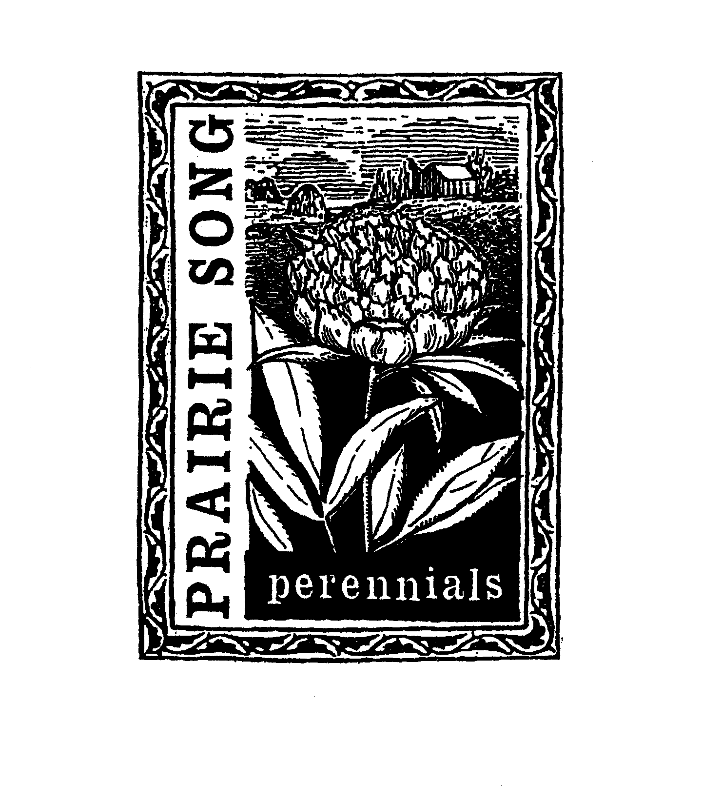  PRAIRIE SONG PERENNIALS