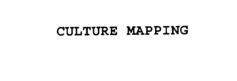 Trademark Logo CULTURE MAPPING
