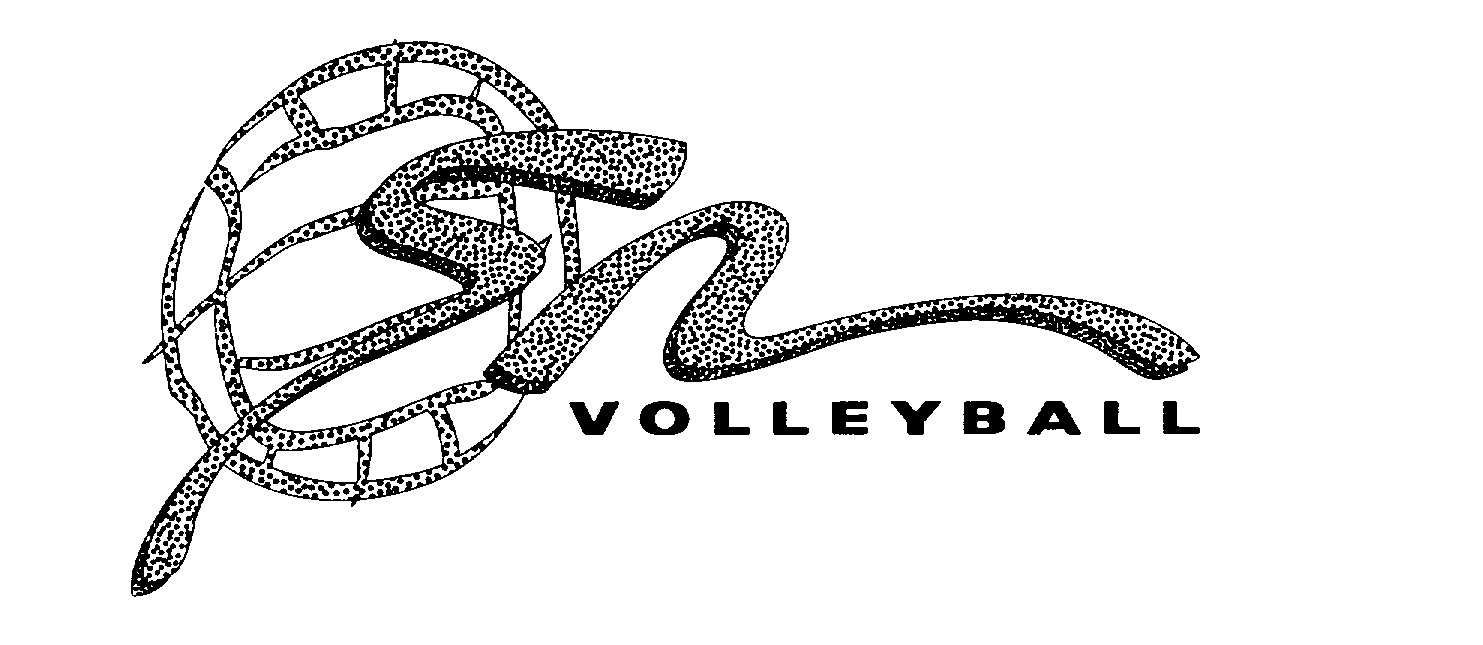 Trademark Logo SN VOLLEYBALL