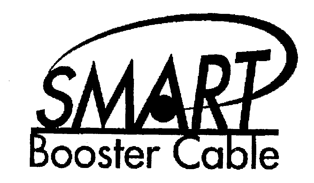  SMART BOOSTER CABLE