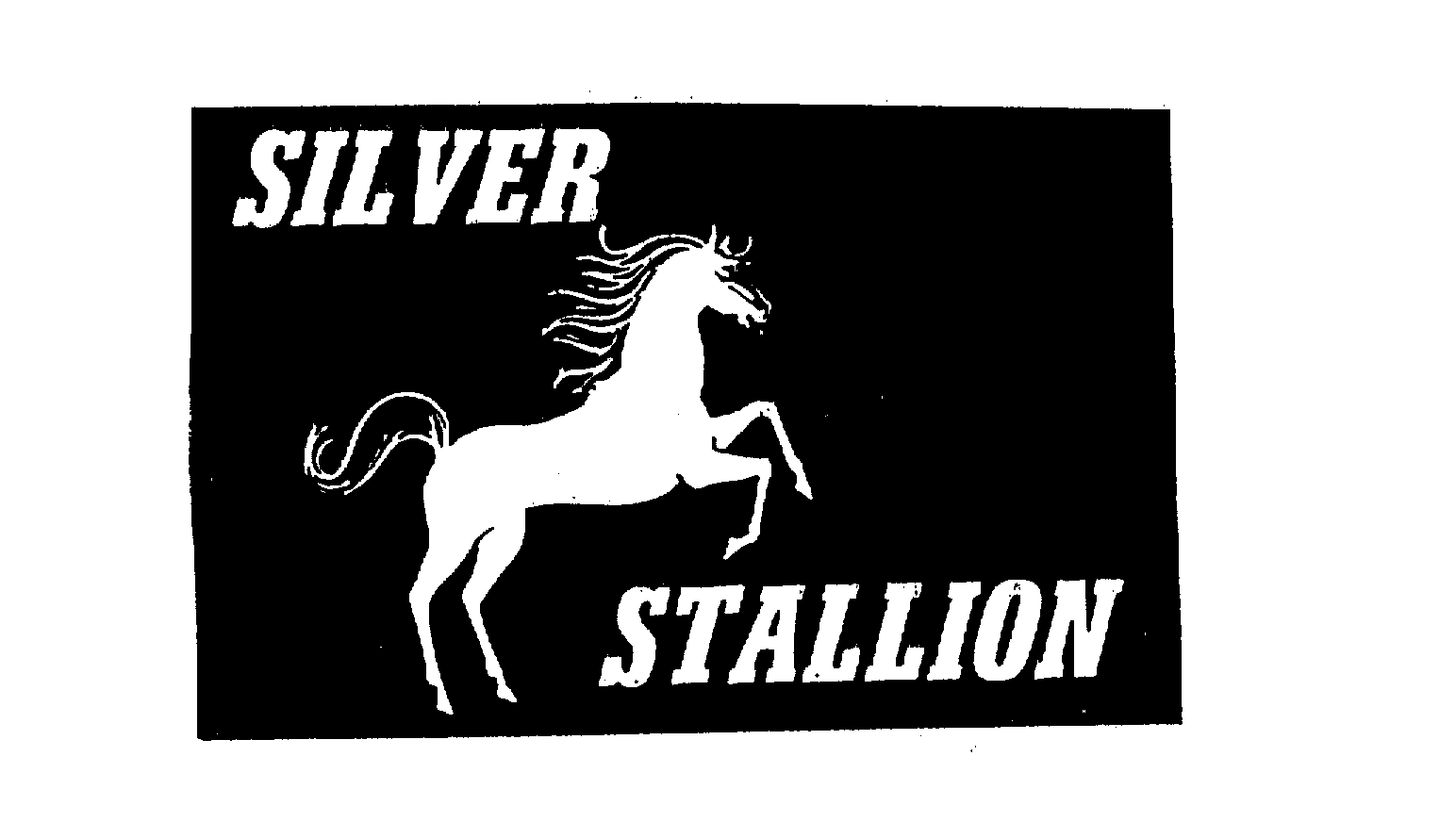 SILVER STALLION