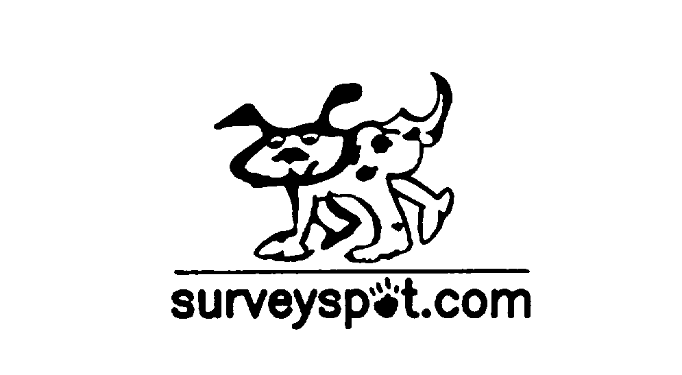  SURVEYSPOT.COM