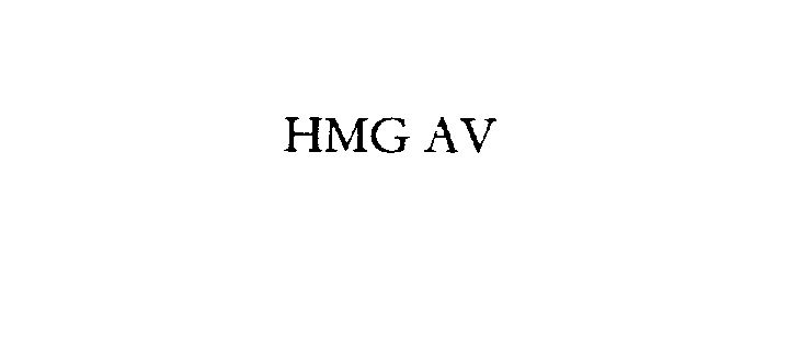  HMG AV