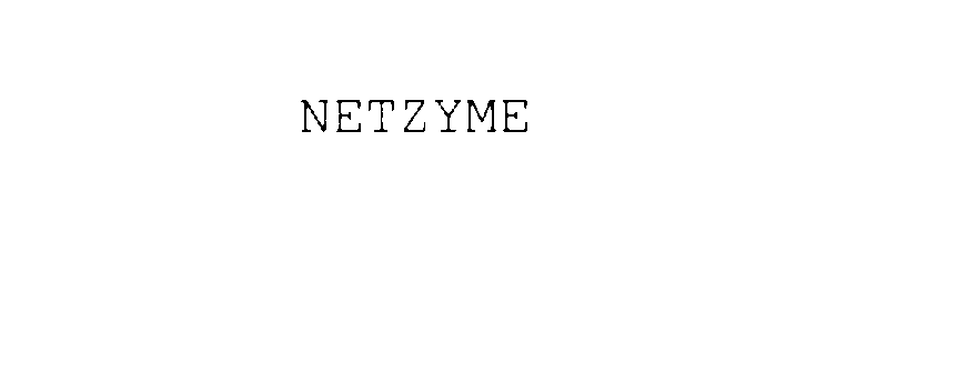 Trademark Logo NETZYME